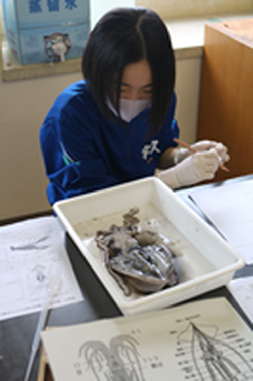 宇久島宝探し~海から学ぶプロジェクト~