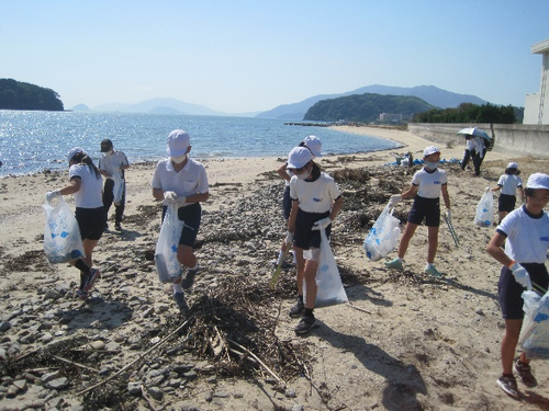 持続可能な未来の海へ