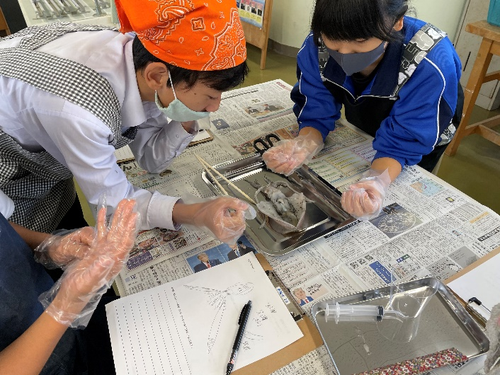 ふるさとの海を活用した東陽中校区活性化プロジェクト（仮名）