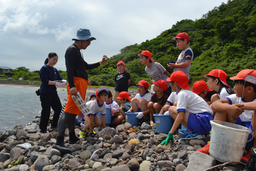 海の子学習