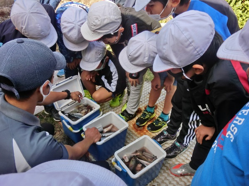 もっともっと、ふるさと“那智勝浦”“和歌山”の海を知ろう！