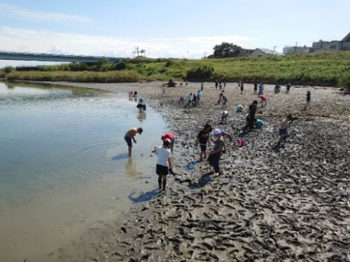 日本遺産「和歌の浦」の海を守り続けるため