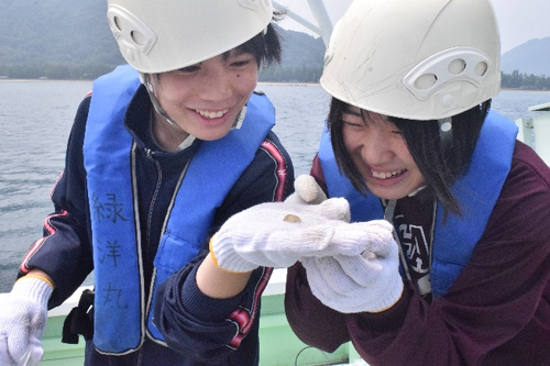 地球環境と海の生態系調査