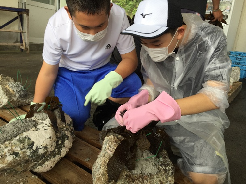 答志の海・人々に学ぶ「ふるさと海洋教育」