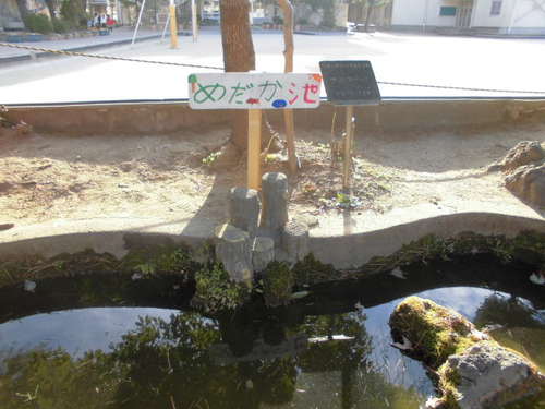 海へとつなぐ ~都市部での生活を見直し、豊かな海と明るい未来をつくろう!~