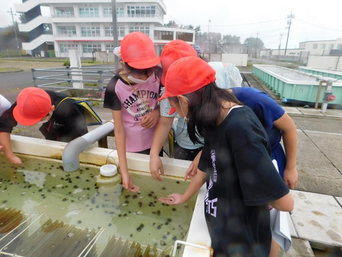 ふるさと大久喜の海を見つめ直そう  ～海の恵みを体感する活動を通して～