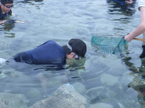 海洋教育「ひろの学」