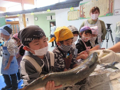 サケの学習を通して育む郷土愛と釜石のDNAの継承