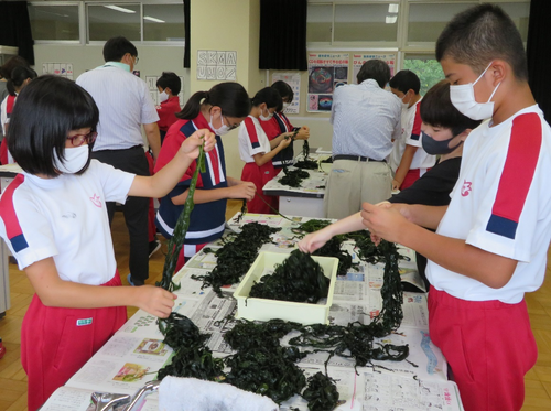 ワカメ養殖の学習を通して育む海洋資源・環境への興味喚起と郷土愛の醸成