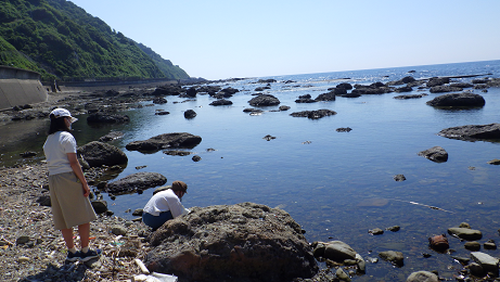 地域内および広域の沿岸海域での陸ー海の相互作用の季節変動を探る