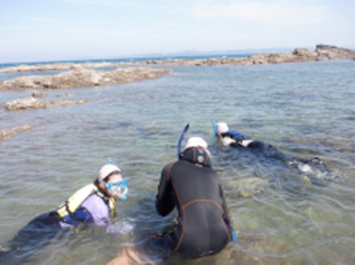 海の探検隊 海の生き物研究所(4年)・伝えよう西岬の海(5年)
