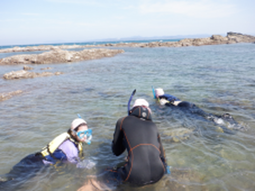 海の探検隊　海の生き物研究所（４年）・伝えよう西岬の海（５年）