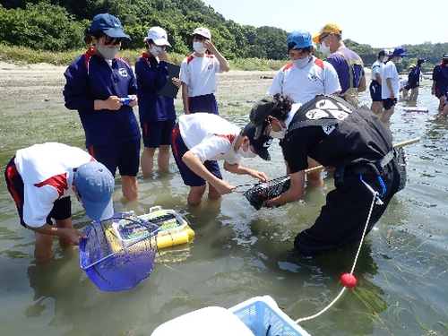 深い学びの実現を目指した海洋教育の実践