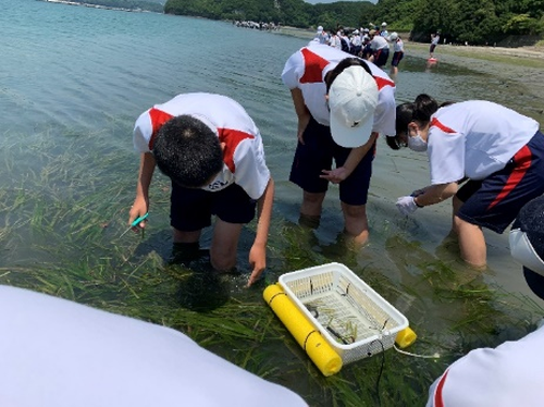 郷土愛を育む海洋教育の実践