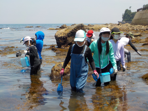 海洋文化の交流による港町のふるさと再発見‐小大連携による「ひと・まち・つながり・ひろがる教育」‐