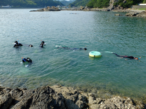 地域観光協会と連携した高等学校における海洋教育カリキュラムの開発