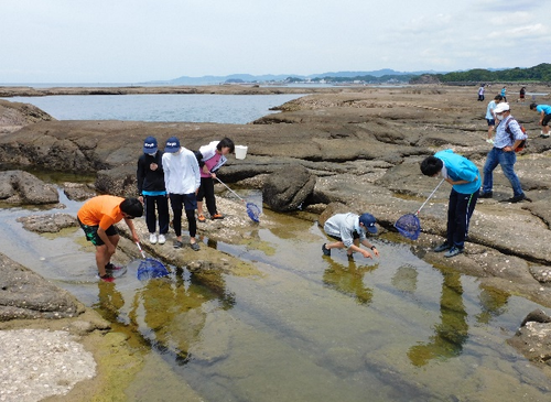 天神崎、千里の浜に学ぶ環境保護活動
