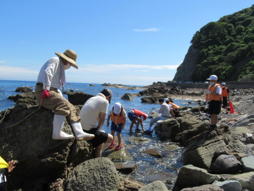 海から学び、人から学ぶふるさと学習~北浜の海と「きたはま水族館」~