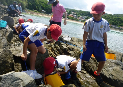 【１・２年生】生きもの大すき 【５年生】ふるさとの海を守ろう～ワカメの養殖に挑戦～