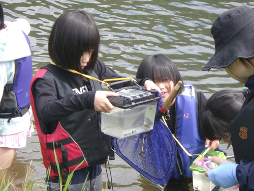 「ふるさとの川に親しもう・紹介しよう」