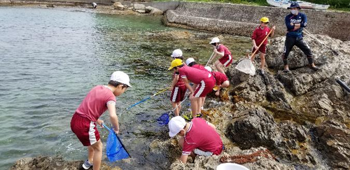 海と森林の環境を考えよう