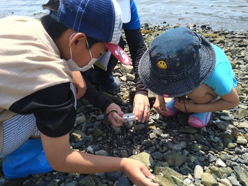 ぎょぎょっと再発見、ふるさと福浦の海！