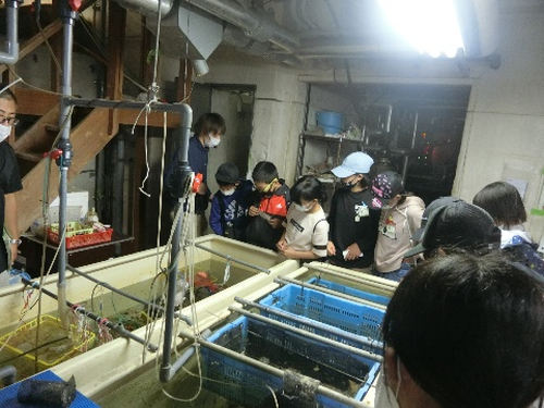 宇久島宝探し~海から学ぶプロジェクト~