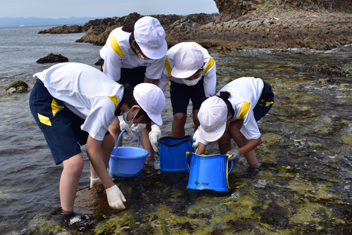 青森市奥内地区の海を理解し、豊かな海を体験し、海の環境を知ろう