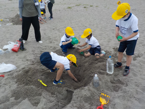 「真砂“海学プロジェクト” ～海で遊び，海を知り，海を守り，海を伝える～」