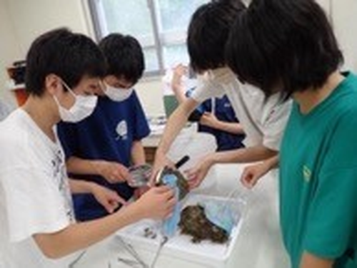 ”海なし県”信州の高校生が学ぶ海の探究 ~能登と信州をオンラインで結び、遠隔地でのリアルタイムで双方向的な新しい海の探究を試みる~