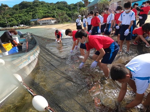 ふるさとの海をより深く知り、伝統と環境を守ろう