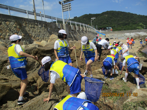 玉野市版:海洋教育パーオニアスクールプログラム 川から海へ ~川や海に生きる生き物を調べよう~