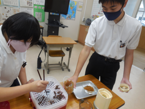 TOMOの磯わくわく発見プロジェクト