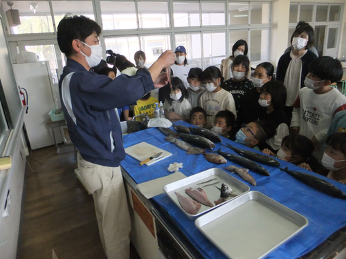 ふるさと呼子のよさを学ぼう