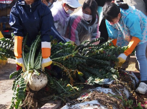 わたしたちの生きる島「錦江湾・桜島博士」になろう!