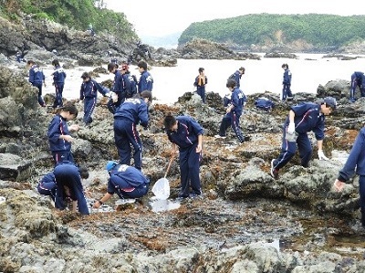 海を探求し、私と海のつながりを知ろう！