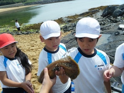 げん海学習（海を知ろう）