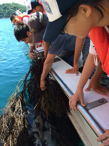 地域と連携した海洋教育