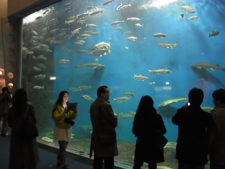 サケのふるさと館