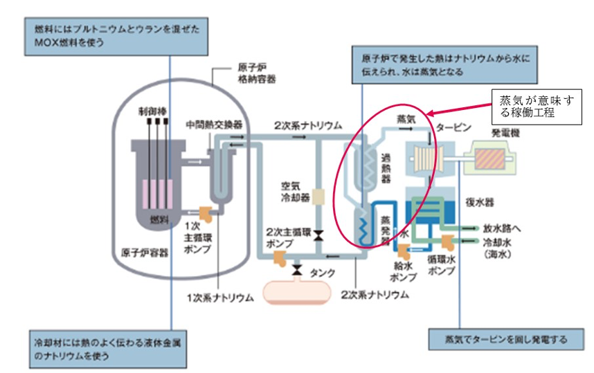 衛星画像2