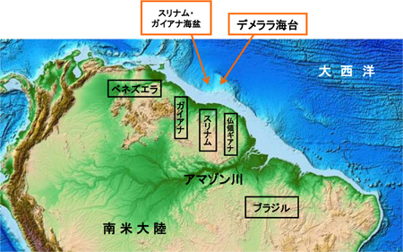 スリナムの申請