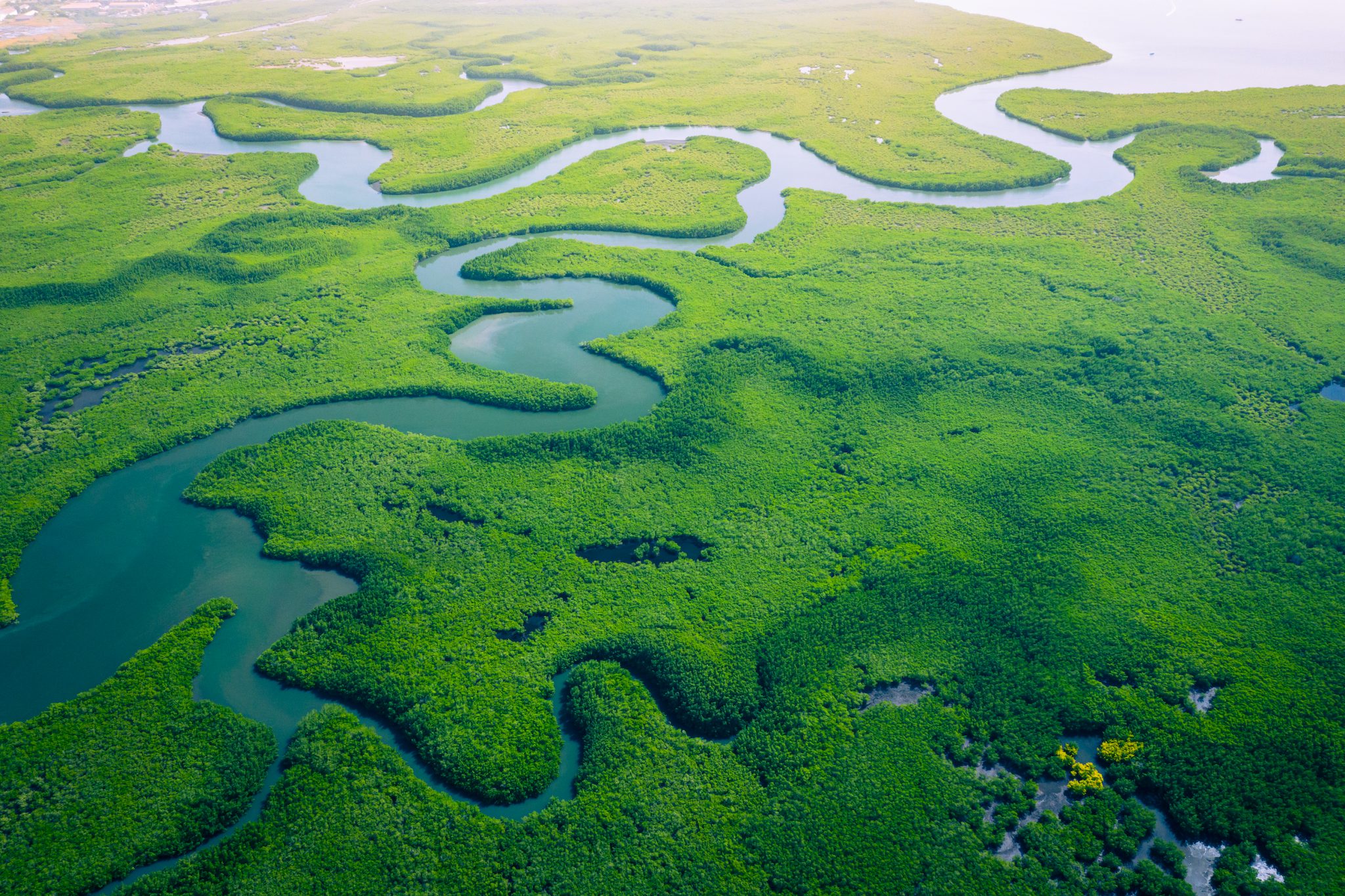Downstream 3