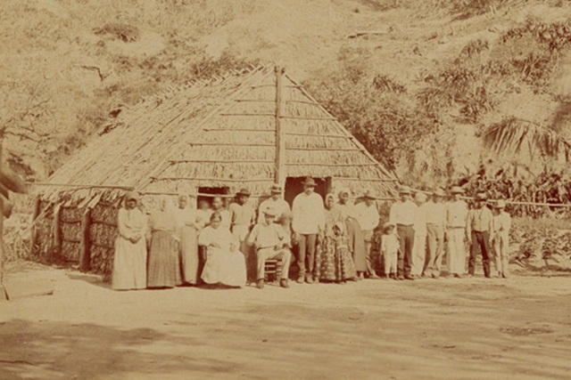 THE OGASAWARA ISLANDS Photo